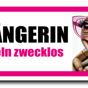 Fahranfänger Magnet Schild (20 x 8 cm) – Lustiges Auto-Magnetschild mit Spruch & witzigem Motiv – Alternative zu Aufkleber – Geschenk zum Führerschein (Mädels)